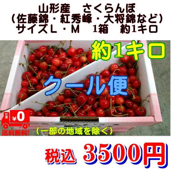 無料長期保証 山形産 特選さくらんぼL.2L 紅秀峰 大将錦 1000g 佐藤錦