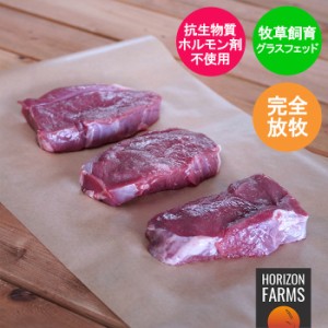 ニュージーランド産 ラム肉 高品質 もも肉 ステーキ 500g グラスフェッドラム 冷凍 羊肉 赤身 厚切り モモ ラムレッグ 放牧