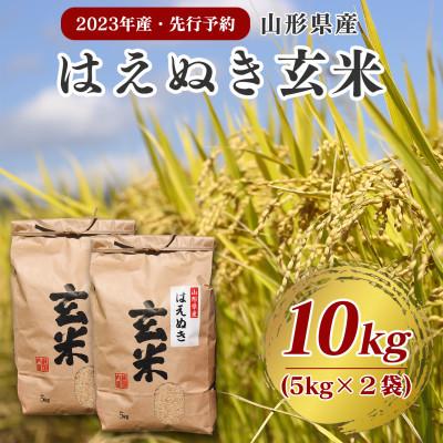 ふるさと納税 山形県 玄米 はえぬき 10kg(5kg×2袋)