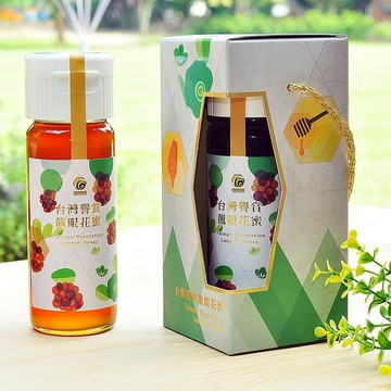 蜜蜂故事館 台灣譽賞龍眼花蜜430g