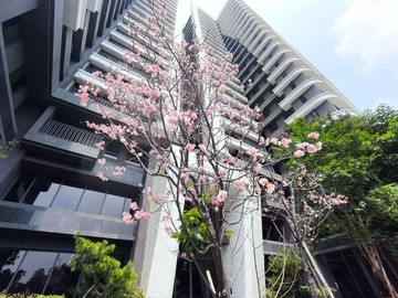 北屯漢神百貨旁高樓層景觀戶飯店式管理3房平車｜台中市北屯區四平路