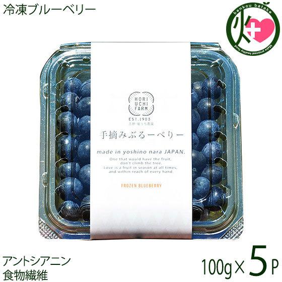 冷凍ブルーベリー100g×5P 堀うち農園 無農薬栽培 安心 安全