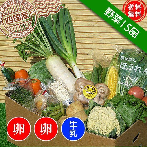 産直あきんど厳選野菜の詰め合わせ15品 牛乳1本 たまご20個セット　送料無料