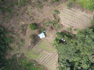 專任~~鹿谷坪子頂有水有電農牧/林業 用地｜南投縣鹿谷鄉坪子頂段