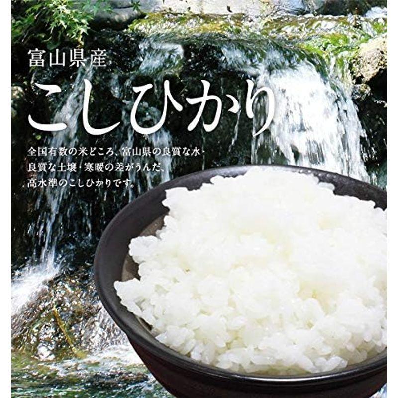 精米 富山県産 白米 コシヒカリ 5kg 令和4年産