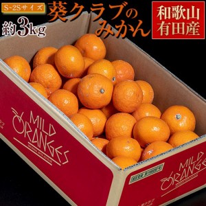 みかん 葵クラブ 和歌山・有田産 特選品 1箱 風袋込 約3kg S～2Sサイズ ※常温