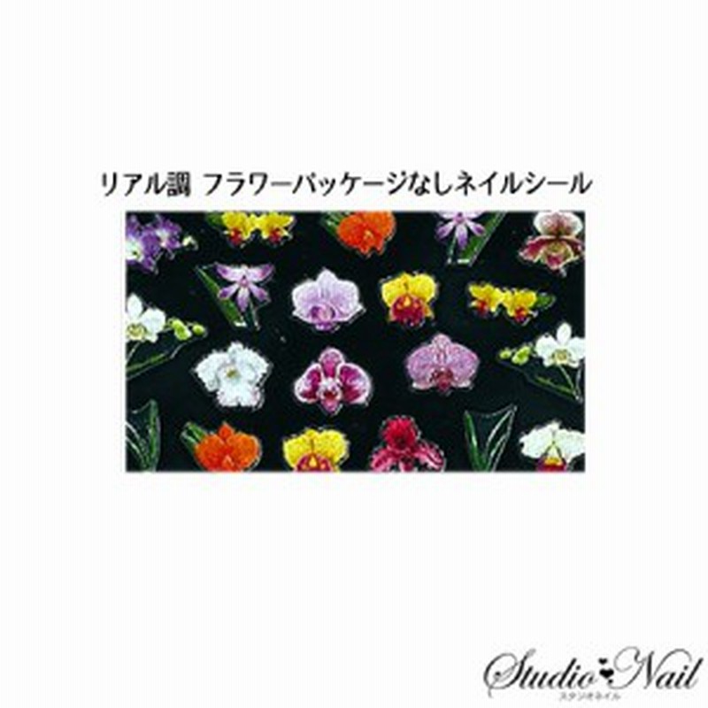 在庫一掃 最終値下げ 日本製 フラワー リアル調 フラワー パンジー ネイルシール パッケージなし Na085 ネイルシール リアル調 パンジー 通販 Lineポイント最大1 0 Get Lineショッピング