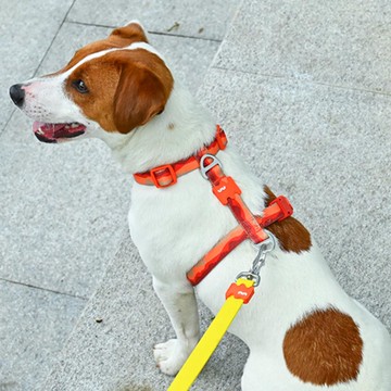 【VitalWave 元氣光波】漸變山海系列 工字型胸背帶 (寵物胸背帶)