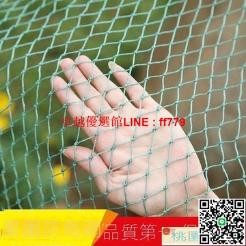 【卓越優選館】防鳥網 防蟲網  防鳥網果園免郵尼龍網葡萄網櫻桃網稻谷魚塘防護網天網陽臺防護網