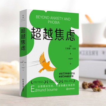 正版促销🔥超越焦慮 艾德蒙·伯恩著 武志紅 樊登推崇心理學應對焦慮心理保健
