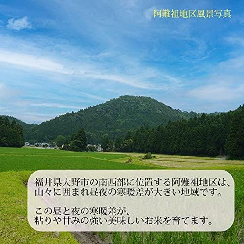 福井県大野阿難祖産 白米 コシヒカリ 令和4年産 (5kg)