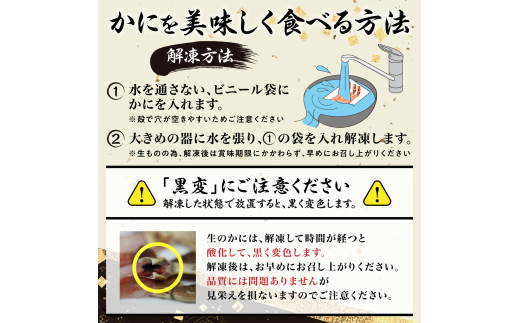 カット済み 生ずわいがに 1.25kg カニ鍋