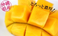 ヤマト農園　完熟マンゴー約1kg（良品）