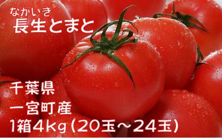 長生（ながいき）とまと１箱（20～24個（約4kg））