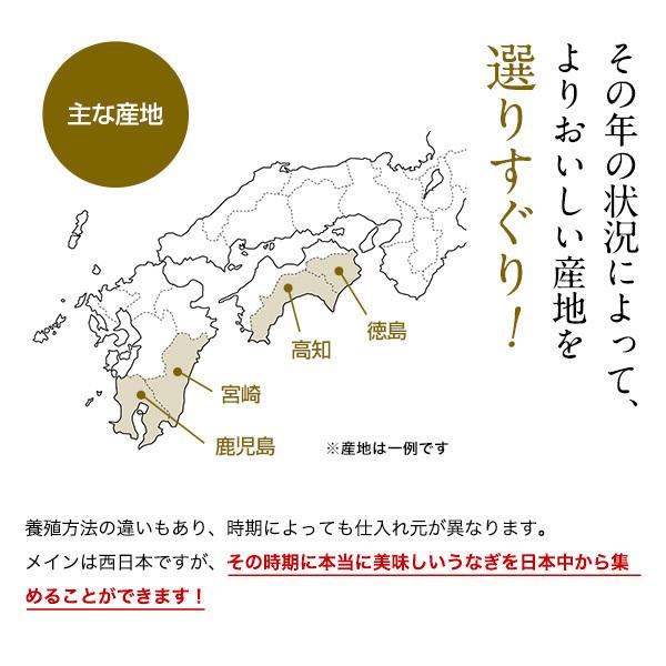 送料無料 うなぎ屋かわすい 国産 きざみうなぎ 大盛りタイプ 100g 複数購入クーポンあり ウナギ 鰻