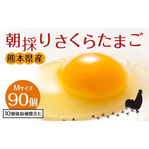 ふるさと納税 熊本県 宇城市 朝採り さくらたまご 90個（Mサイズ）卵 10個破損補償含む