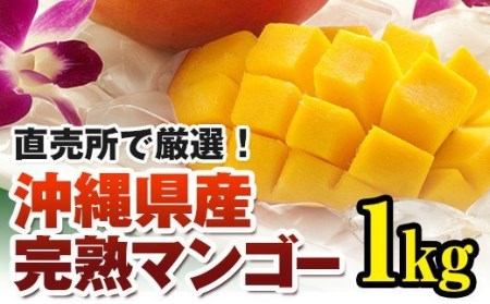 直売所で厳選　沖縄県産「完熟マンゴー」1kg