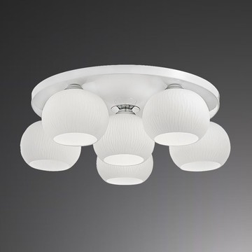 E27 玻璃燈罩吸頂六燈 B209-040006