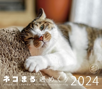 ネコまる編集部 「ネコまる週めくりカレンダー 2024」 Calendar