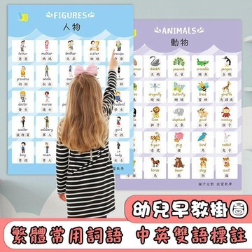 ✨寶貝嚴選✨ 繁體字認知掛圖 看圖識字 嬰幼兒童早教牆貼畫海報 寶寶啓蒙右腦玩具 幼儿早教挂图 中英双语标注