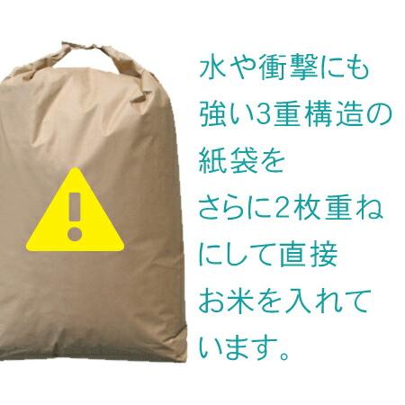 新米 米 30kg 青森県産 5年産 つがるロマン 玄米30kg青森ロマン