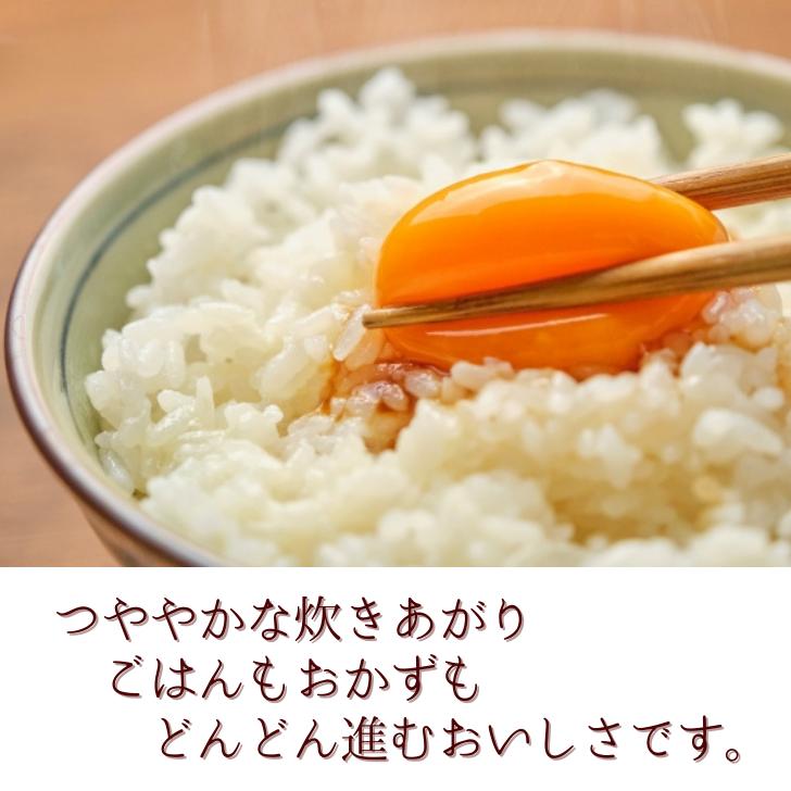 新米 5年産 新潟産 こしいぶき 10kg 5kg×2袋 受注精米 お歳暮 冷めてもおいしい 新潟県産 米 白米 精米 減農薬 農家 直送 生産者 備蓄 ギフト 内祝