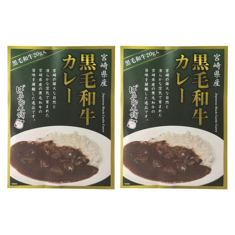 ばあちゃん本舗 宮崎県産 黒毛和牛カレー 160g×2袋