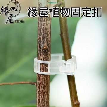 緣屋植物固定扣【緣屋百貨】天天出貨 固定器 枝條夾 園藝夾 園藝造景 綠植果樹植物卡扣 藤蔓固定器 秧苗爬藤支撐桿