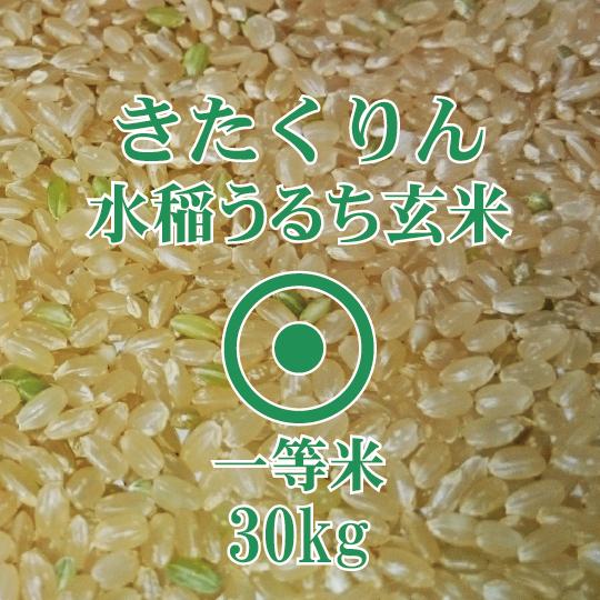 新米　北海道産 きたくりん 玄米 30kg 令和5年産　農薬節減米　一等米　北海道米