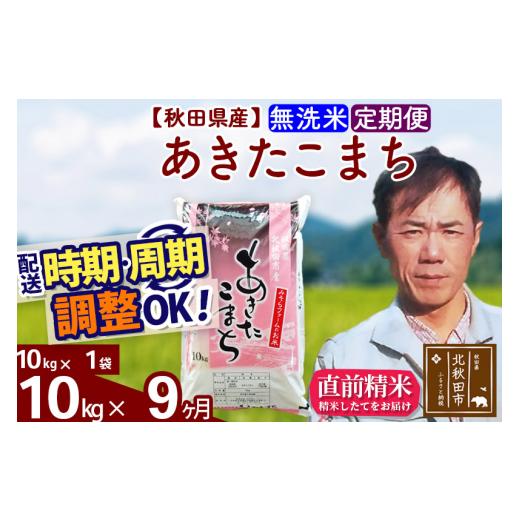 ふるさと納税 秋田県 北秋田市 《定期便9ヶ月》＜新米＞秋田県産 あきたこまち 10kg(10kg袋) 令和5年産 お届け時期選べる 隔月お届けOK お米 みそら…