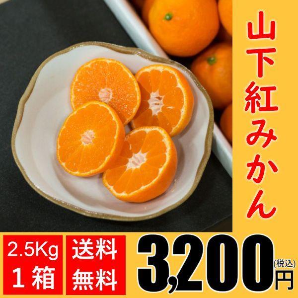 山下紅みかん（2.5kg×1箱)