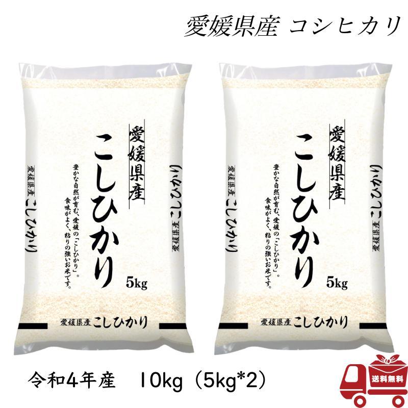 こしひかり 10kg 5kg×2 令和4年産 愛媛県産 米 お米 白米 おこめ 精米 単一原料米 ブランド米 10キロ 送料無料 国内産 国産