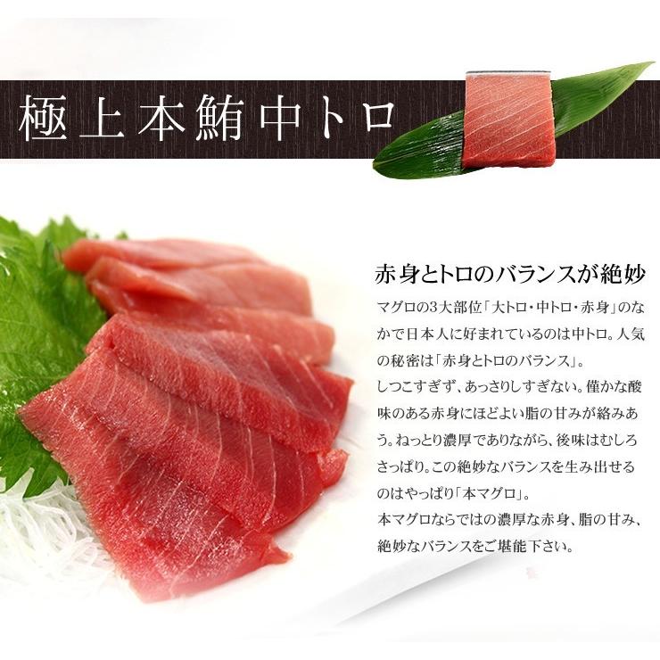 本マグロ大トロ中トロ赤身セット500g 送料無料 解凍レシピ付 刺身 食べ物《pbt-bf8》〈bf1〉yd9[[大中赤セット]