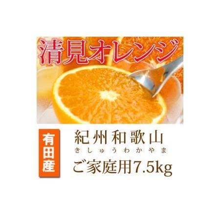 ふるさと納税 紀州有田産清見オレンジ　7.5kg ※2024年3月下旬頃〜2024年4月下旬頃に順次発送予定(お届け日指定不可) 【uot.. 和歌山県広川町