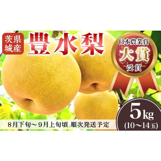 ふるさと納税 茨城県 下妻市 茨城県産「豊水梨」約5kg