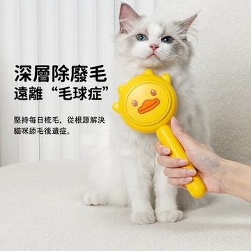 貓梳子 貓咪浮毛梳 寵物梳 寵物毛髮護理 寵物除毛針梳 寵物針梳 貓咪按摩梳 除毛梳 貓咪理毛梳 寵物專用梳子 寵物用品