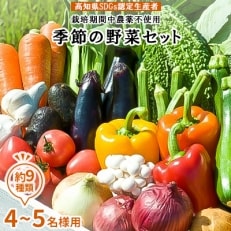 農薬不使用 季節の野菜セット(4～5名様用)