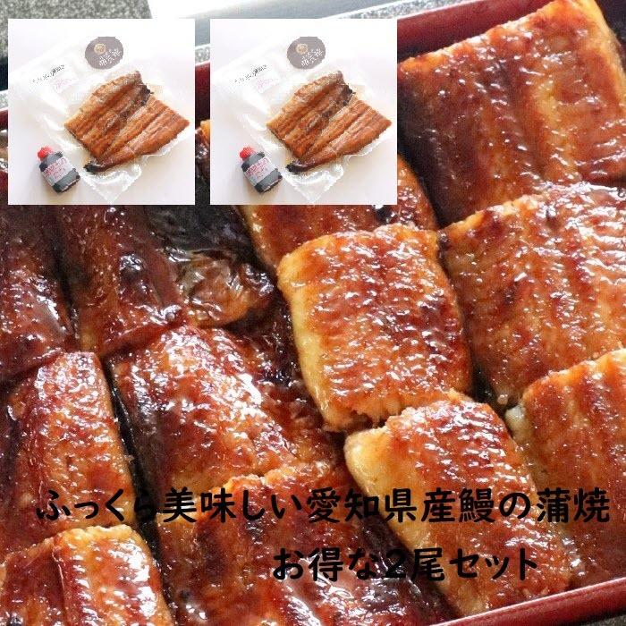 愛知県産のふっくら美味しいうなぎ うなぎの蒲焼 お得な２尾（送料込み） （うなぎ 国産うなぎ 愛知県産うなぎ 蒲焼 うなぎたれ うなぎ２尾 丑の日 山椒）