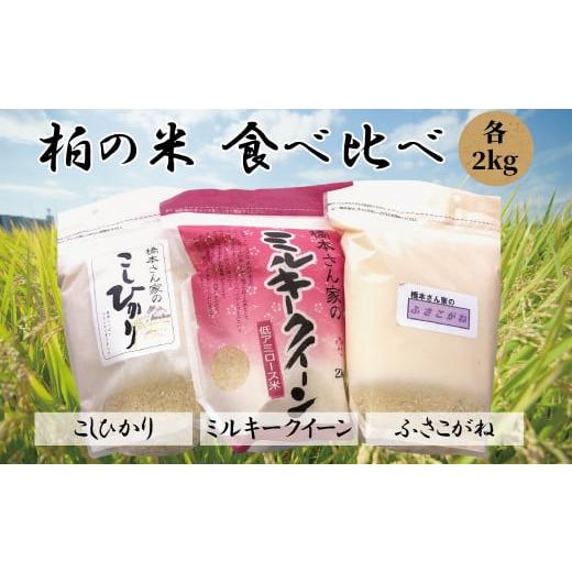 ふるさと納税 千葉県 柏市 柏の米　食べ比べセット