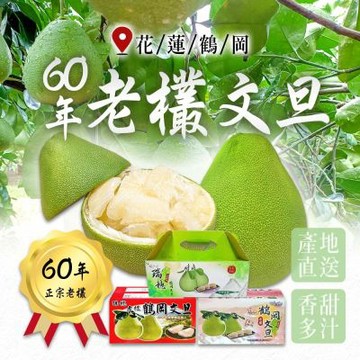 雪莉朵辣嚴選【花蓮鶴岡】60年老欉文旦(10斤11-16顆)X1箱