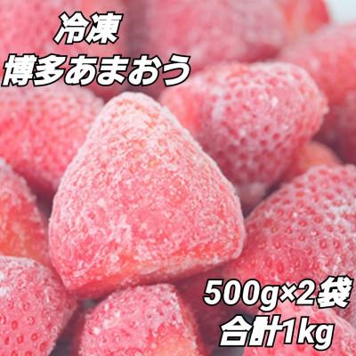 ふるさと納税 大野城市 福岡県産約500g×2袋 合計約1kg