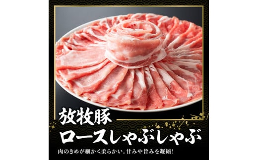 宮崎県産 放牧豚 「 ロースしゃぶ ＆ バラ焼肉 」 1.5kg  [E8102]