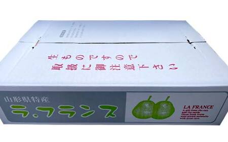 山形県産ラ・フランス 5kg 12 玉～20 玉 FSY-1025