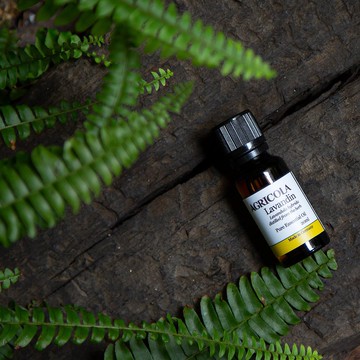 有機葛羅索醒目薰衣草精油 - 德國原裝進口 純植物萃取天然擴香