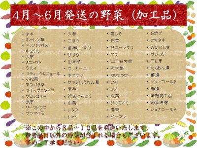 滝沢もりもり野菜セット（８品から１２品）  野菜 やさい セット 詰め合わせ