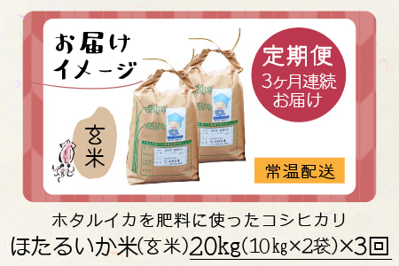 ほたるいか米（玄米20kg）×3回 計60kg