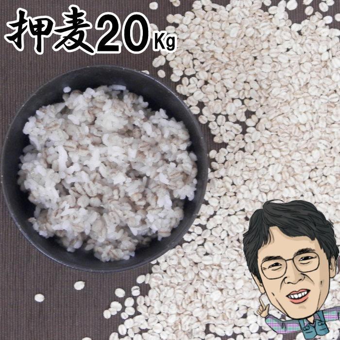 押麦 20Kg 無農薬 大麦 福岡県産 筑後久保農園