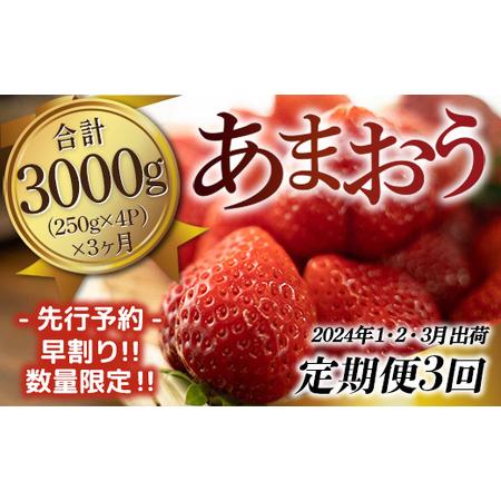 ふるさと納税 福岡県産 あまおうG以上 4パック 定期便3回 合計3000g 先行予約 2024年1・2・3月に発送予定　TY034 福岡県宇美町