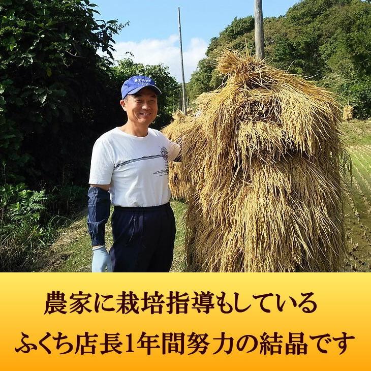 米　新米　店長が作ったお米　ひとめぼれ　5kg　天日干し　白米　玄米もOK　令和5年産米　送料無料　5キロ　天日乾燥　岩手県産　発送日当日精米