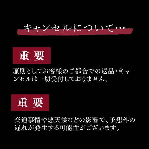  玉清 生おせち 「新春オードブル」 3〜5人前 29品目 冷蔵 12月31日お届け  玉清 (産直) お歳暮 御歳暮 クリスマス ギフト